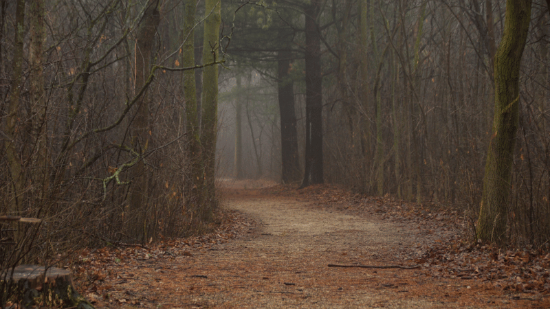 Long Island After Dark: Ghost Tours, Legends, and Local Lore | Laffey Real Estate